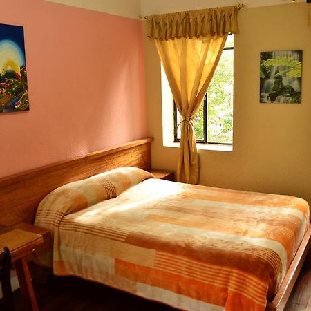 Hostal Loro Verde Кито Экстерьер фото